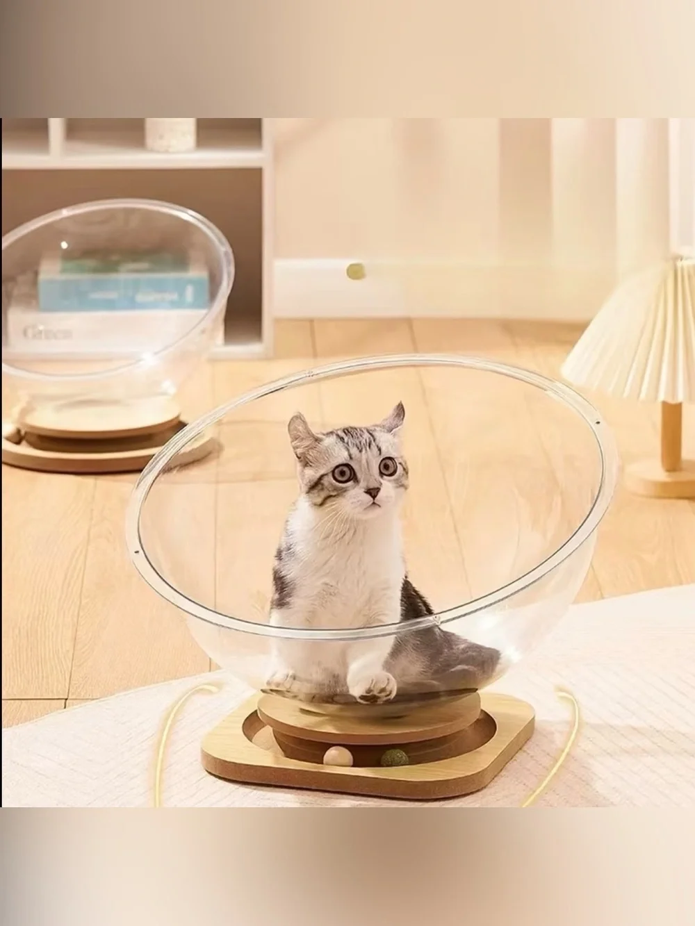 Cat Bed Space Capsule Rotating Platform Semi-Enclosed Acrylic Cave Lightweight